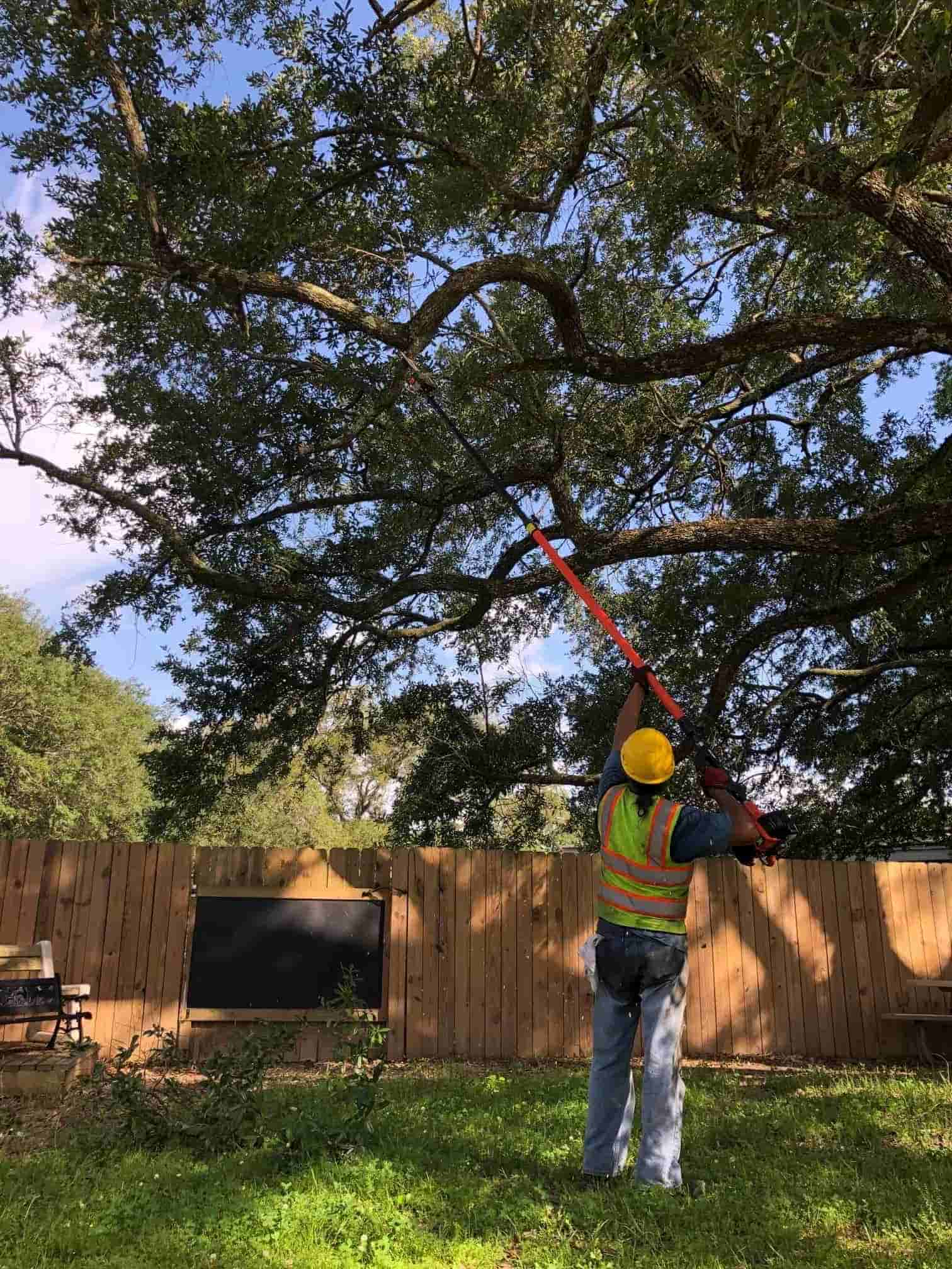 Diversified Tree Company