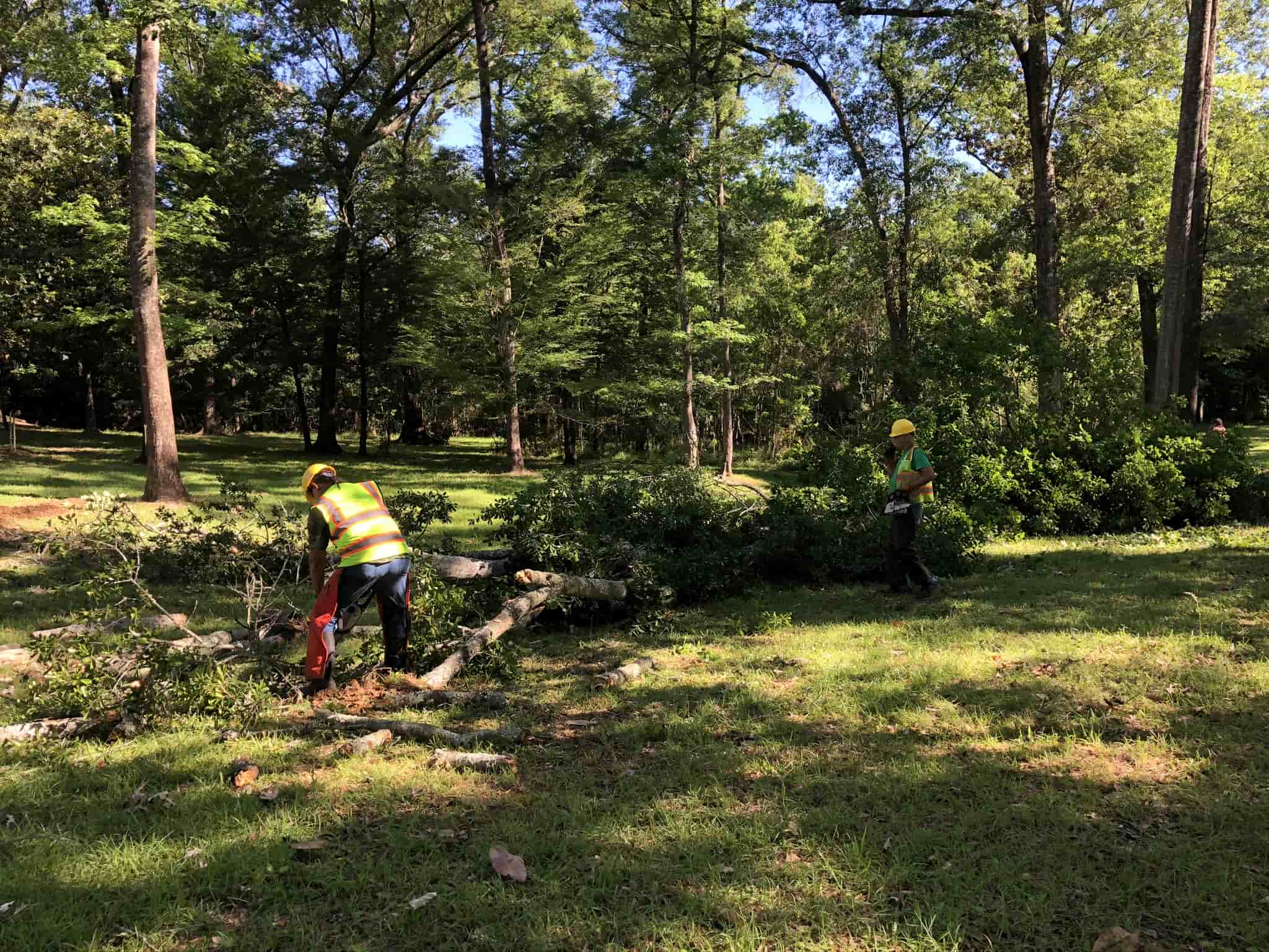 Diversified Tree Company