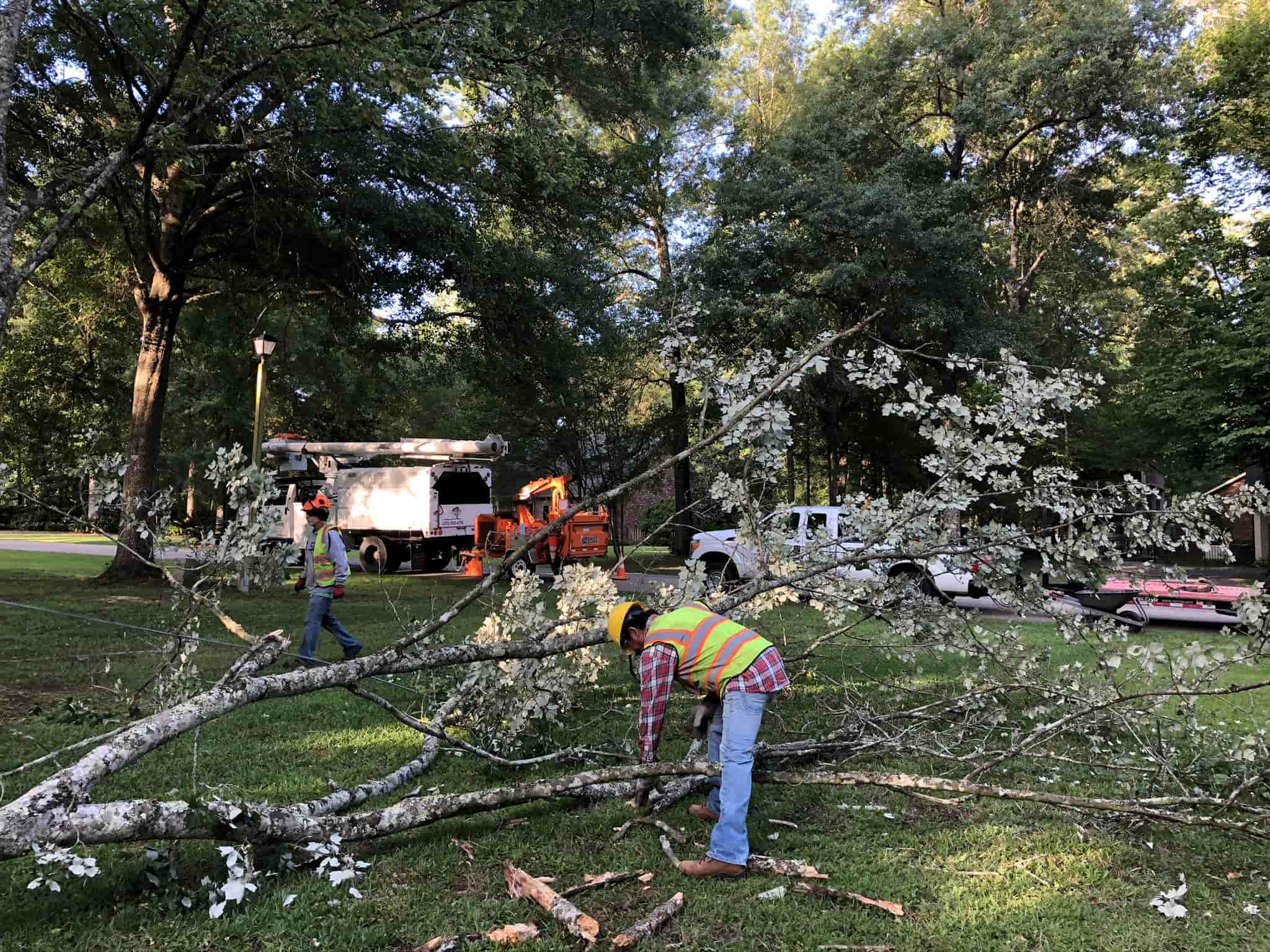 Diversified Tree Company